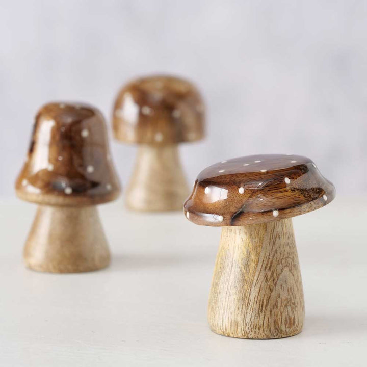 Boltze - Pilz Clozzy 3er-Set