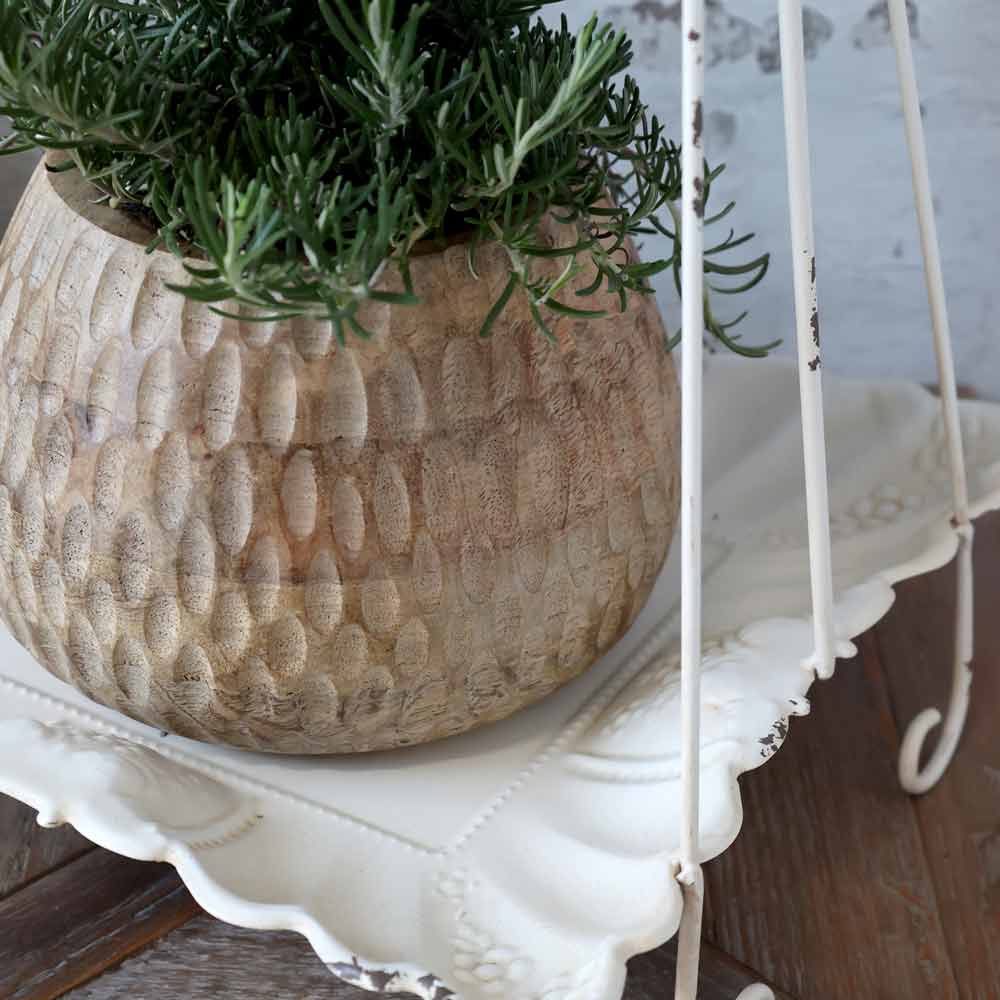 Ein runder Blumentopf aus Holz mit strukturierter Oberfläche hält eine grüne Pflanze, die auf einer Chic Antique - Etagere mit Henkel mit verzierten Kanten platziert ist, die wiederum auf einem Holztisch steht.