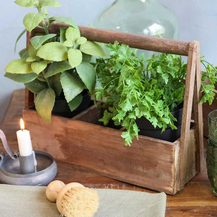 Der Chic Antique - Kasten mit Handgriff und 3 Fächern steht mit Kräutertöpfen auf dem Tisch. In der Nähe brennt eine Kerze neben einer Bürste auf einem grünen Tuch.