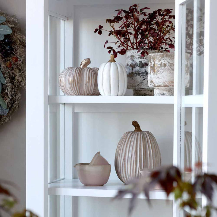 Weiße Regale mit Chic Antique – Kürbis Deko Creme, einer kleinen Schüssel mit Deckel und einer Topfpflanze mit roten Blättern in einer Vitrine mit Glasfront.