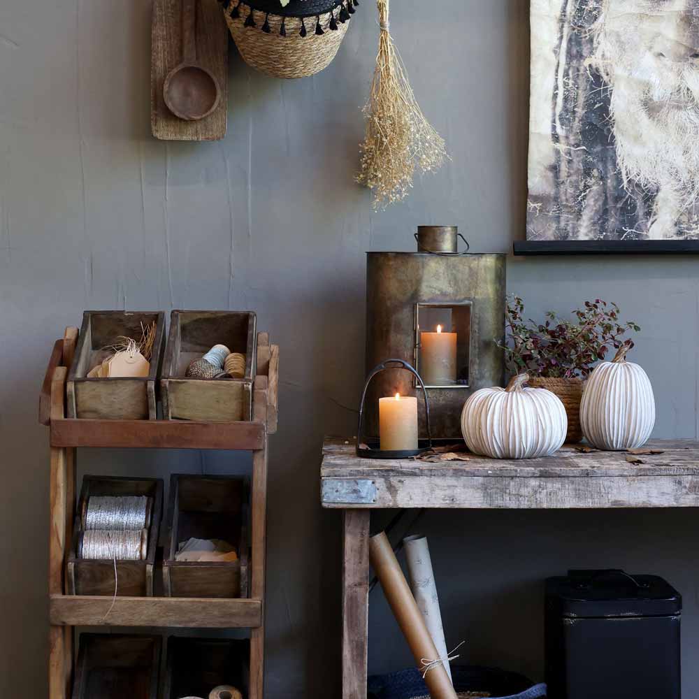 Ein rustikaler Raum mit Holzregalen, Kerzen, Trockenblumen an einer grauen Wand und zwei Chic Antique - Kürbis Deko Creme-Kürbissen auf einem Holztisch.