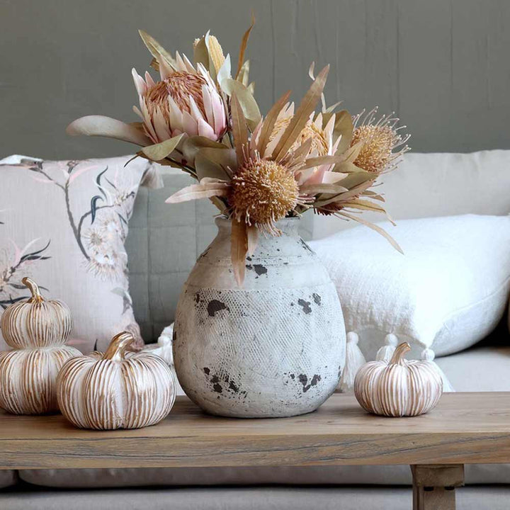 Eine rustikale Vase mit Protea-Blüten steht auf einem Holztisch mit drei Chic Antique - Kürbissen mit Gold Antique Creme; im Hintergrund ist ein Sofa mit gemusterten und einfarbigen Kissen zu sehen.