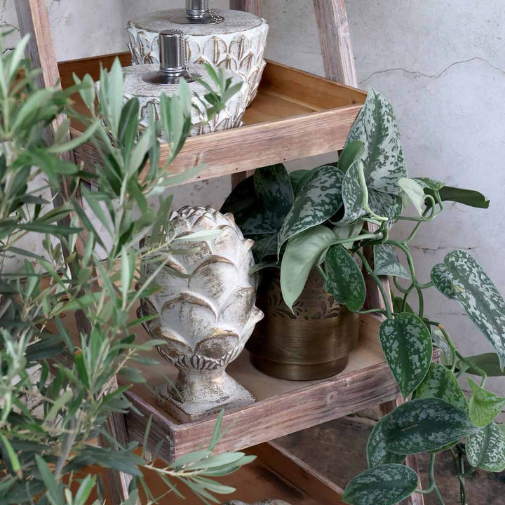 Gezeigt werden Holzregale mit Dekoartikeln und verschiedenen Topfpflanzen. Auf den Regalen sind eine Chic Antique - Öllampe Zement mit Goldmuster und gemusterte Pflanzgefäße inmitten von grünem Blattwerk zu sehen.