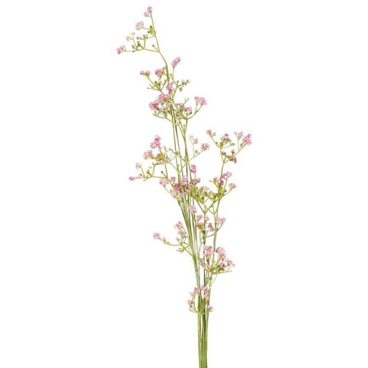 Ib Laursen - Blume rosa Blumen