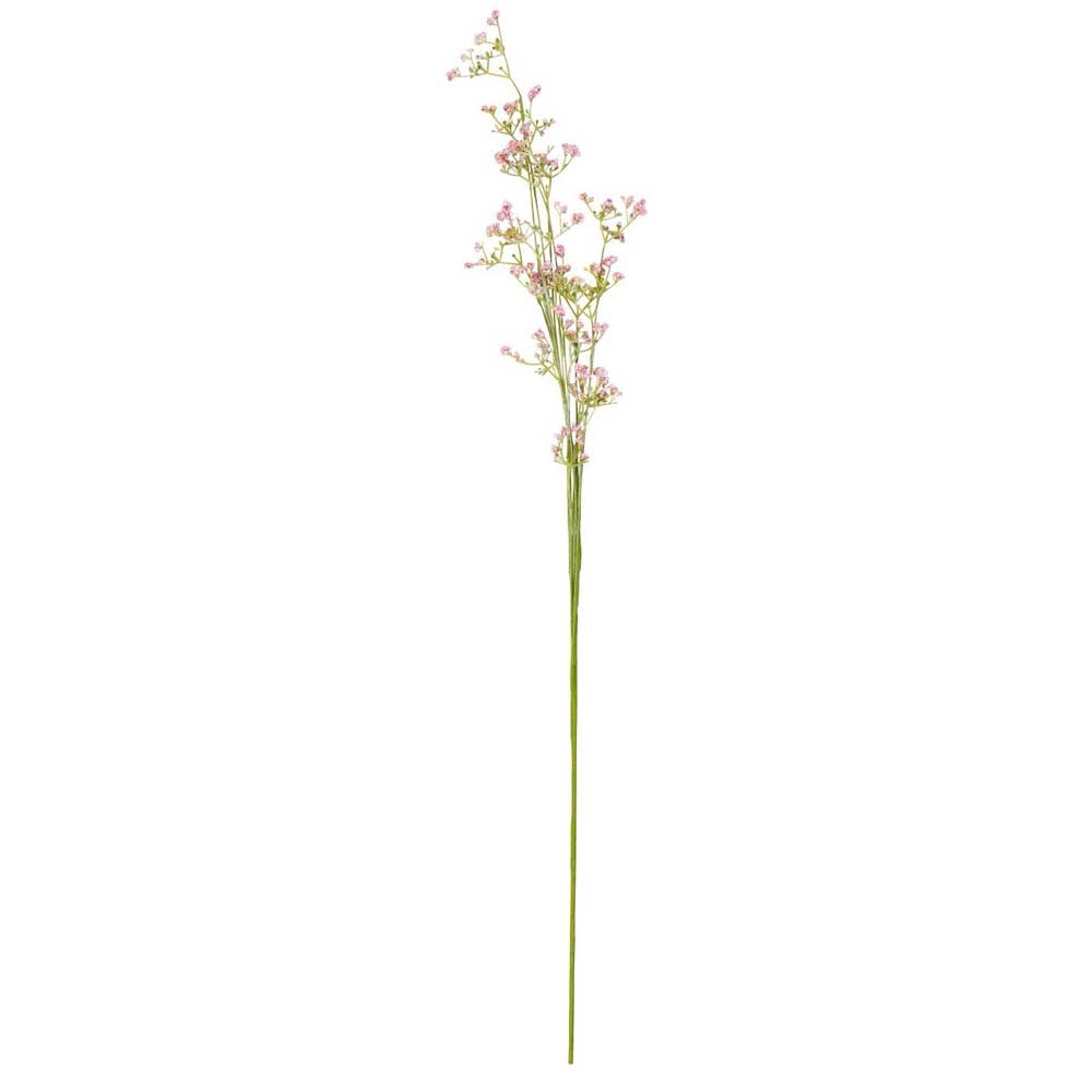 Ib Laursen - Blume rosa Blumen