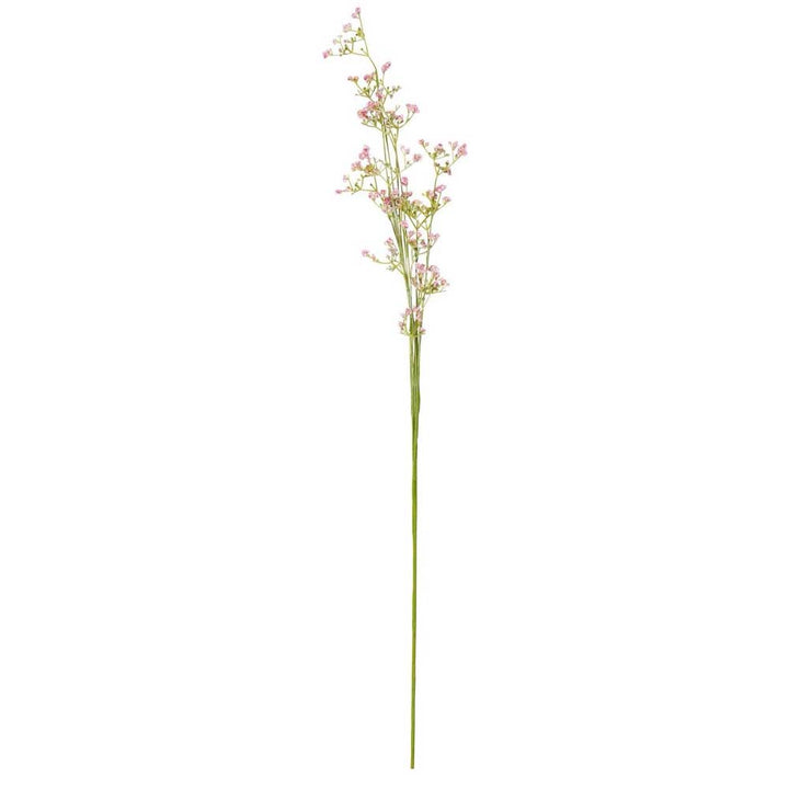 Ib Laursen - Blume rosa Blumen