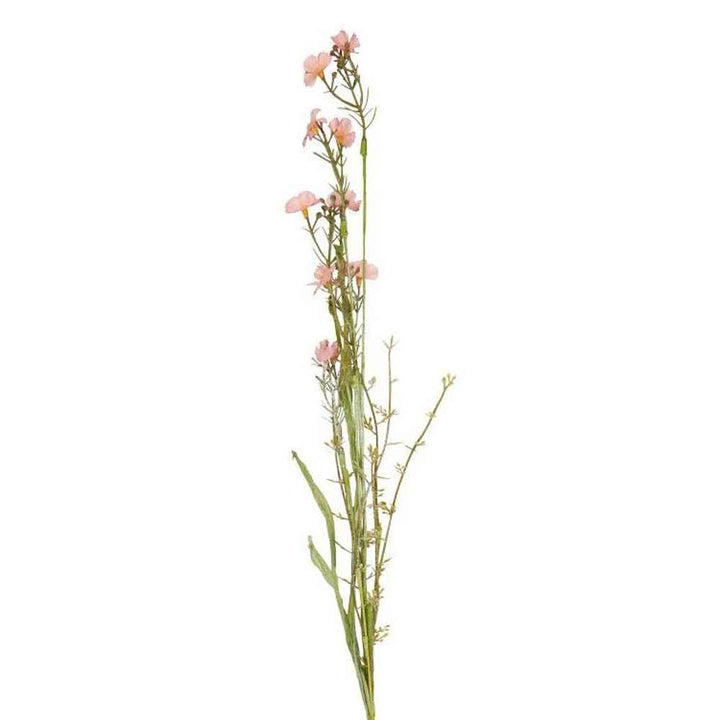 Die Ib Laursen - Blume rosa/grün hat einen hohen grünen Stiel mit schmalen Blättern und zarten rosa Blüten vor einem schlichten weißen Hintergrund.