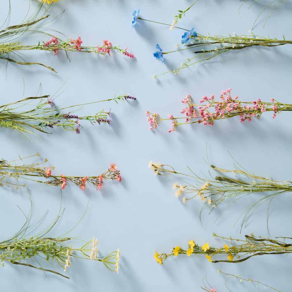 Ib Laursen - Blume rosa/grün: Verschiedene getrocknete Wildblumen in Rosa und Grün auf hellblauem Hintergrund angeordnet.