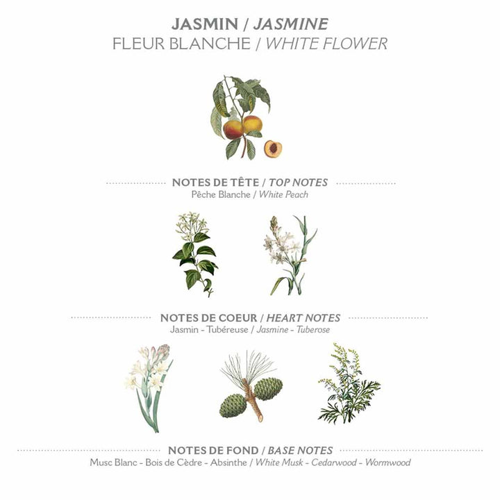 Bild zeigt die Zusammensetzung von Panier des Sens – Duschgel Jasmin 250 ml mit Kopfnoten von weißem Pfirsich, Herznoten von Jasmin und Tuberose sowie Basisnoten von weißem Moschus, Zedernholz und Wermut.