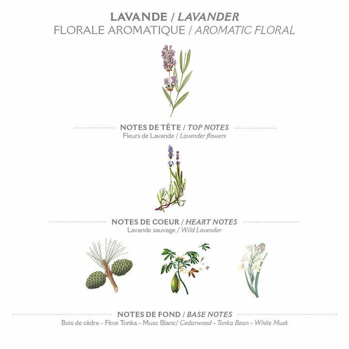 Abbildung der Duftnoten für Panier des Sens - Duschgel Lavendel 250 ml: Kopfnoten (Lavendelblüten), Herznoten (wilder Lavendel) und Basisnoten (Zedernholz, Tonkabohne, weißer Moschus). Etiketten in Französisch und Englisch.