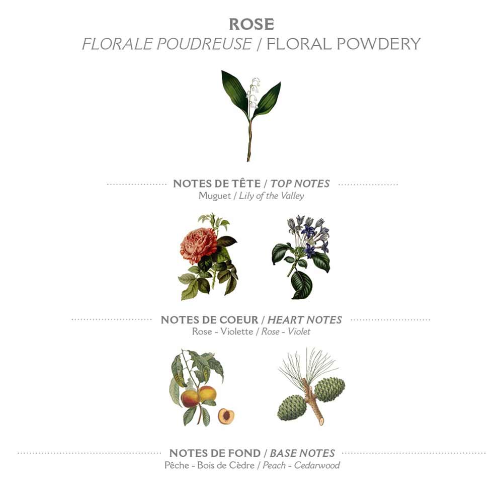 Eine Abbildung, die die blumig-pudrigen Noten von Panier des Sens – Feste Pflanzenseife Rose 150 g zeigt. Kopfnoten sind Maiglöckchen. Herznoten sind Rose und Veilchen. Basisnoten sind Pfirsich und Zedernholz.