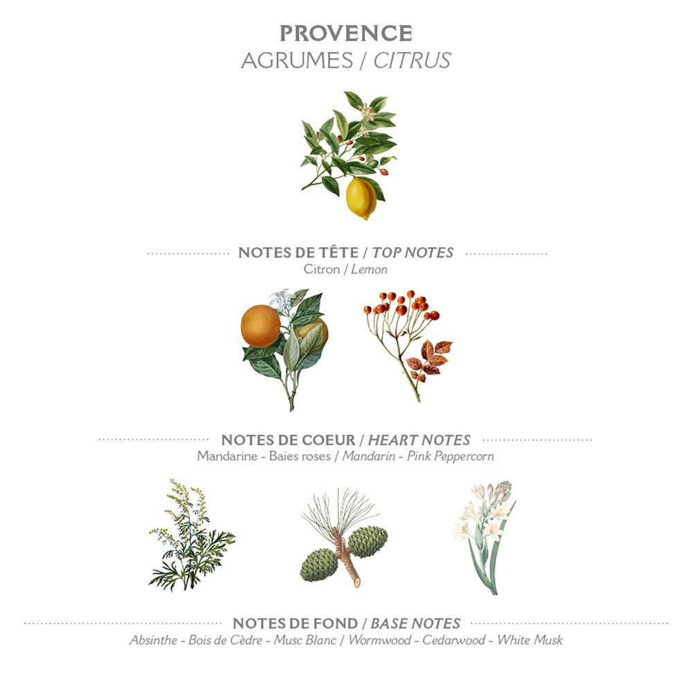 Diagramm mit Auflistung der Duftnoten von „Panier des Sens – Feste Seife mit Duft Orangenblüte 150 g“, einschließlich Kopfnoten: Zitrone, Herznoten: Mandarine, rosa Pfeffer, Basisnoten: Zedernholz, weißer Moschus. Bilder der entsprechenden Pflanzen enthalten.