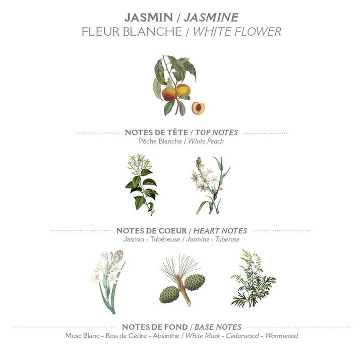 Diagramm, das die Zusammensetzung von Panier des Sens – Marseiller Flüssige Handseife Jasmin 500 ml zeigt, einschließlich Kopfnoten von weißem Pfirsich, Herznoten von Jasmin und Tuberose und Basisnoten von weißem Moschus, Zedernholz und Wermut.