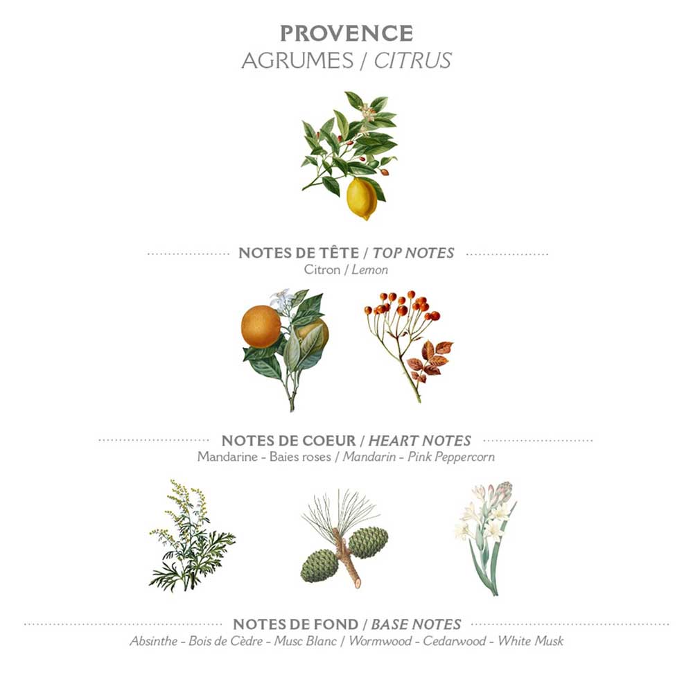 Botanische Illustration der Duftnoten von Panier des Sens – Marseiller Flüssigseife Nachfüllbeutel Provence 500 ml, kategorisiert in Kopf-, Herz- und Basisnoten mit Etiketten in Französisch und Englisch.