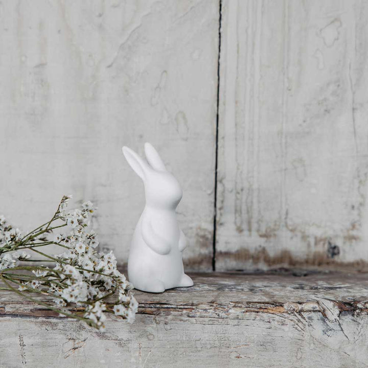 Storefactory - Freja Hase