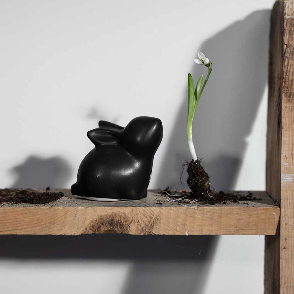 Storefactory - Stina Hase Large