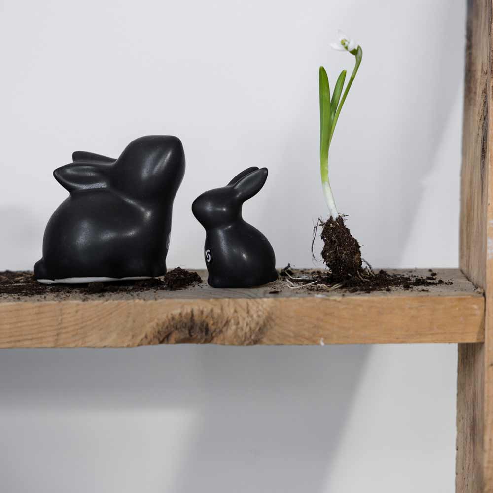 Storefactory - Stina Hase Large