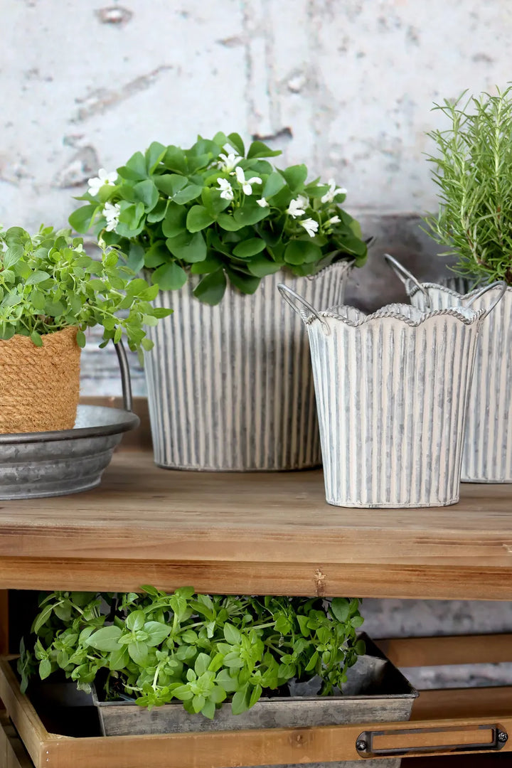 Chic Antique - Übertopf mit Rillen und Griffen Set von 3