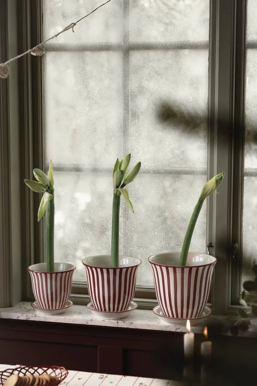 Strömshaga Blumentopf Miriam Steinzeug Untersetzer