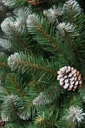Triumph Tree Türkranz Künstlicher Weihnachtskranz