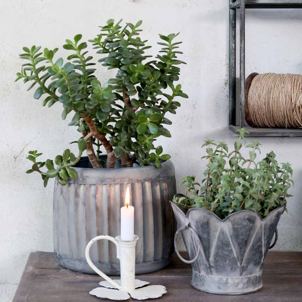 Chic Antique - Kammerleuchter mit Blätter Kerzenhalter antique creme