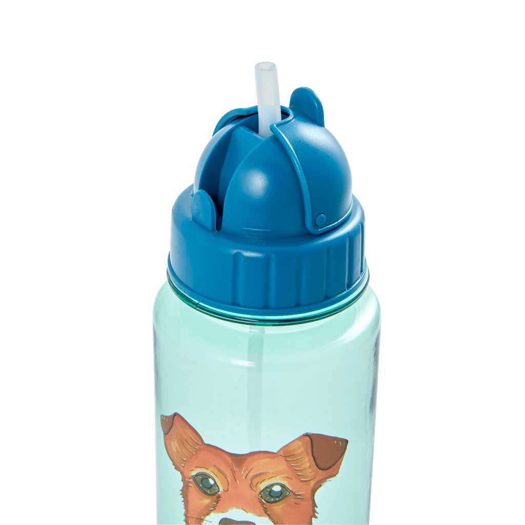 Rice - Trinkflasche Farmtiere Grün-Blau 500 ml