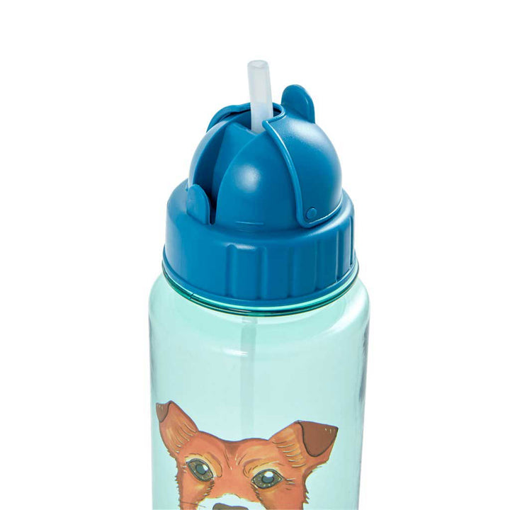 Rice - Trinkflasche Farmtiere Grün-Blau 500 ml